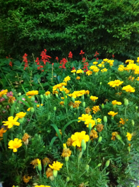 f:id:MaoLamdo:20130731024401j:plain f:id:MaoLamdo:20130731024401j:plain