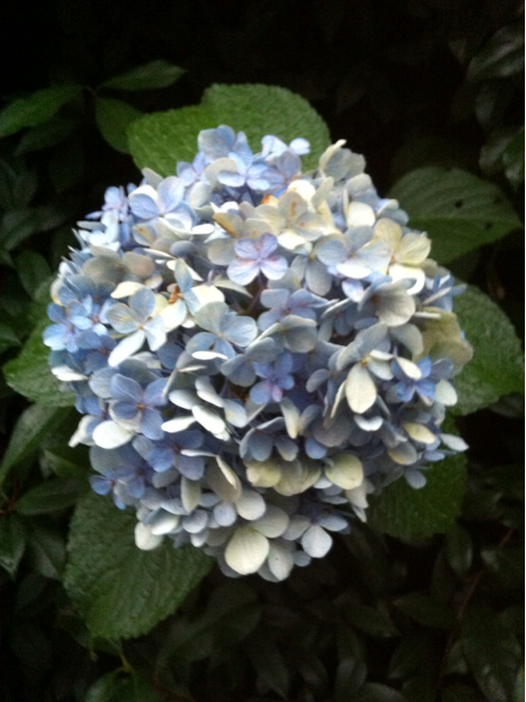 f:id:MaoLamdo:20130731024828j:plain f:id:MaoLamdo:20130731024828j:plain