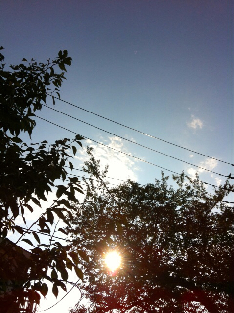 f:id:MaoLamdo:20130828142923j:plain f:id:MaoLamdo:20130828142923j:plain
