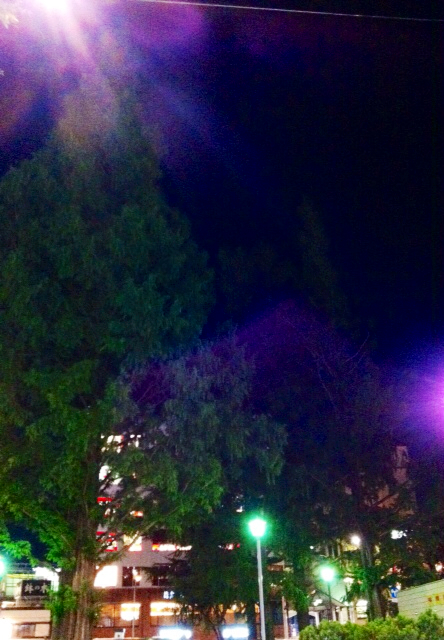 f:id:MaoLamdo:20130828143635j:plain f:id:MaoLamdo:20130828143635j:plain