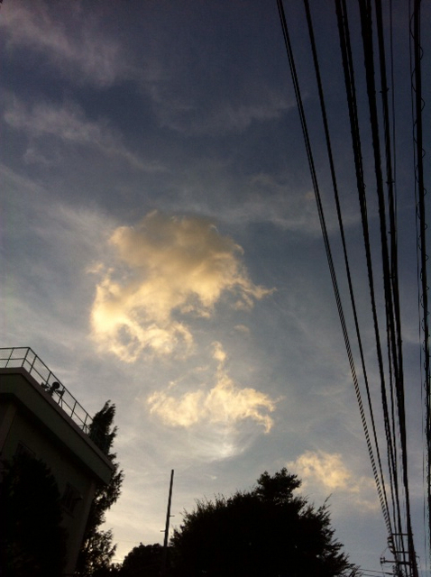 f:id:MaoLamdo:20130907125343j:plain f:id:MaoLamdo:20130907125343j:plain