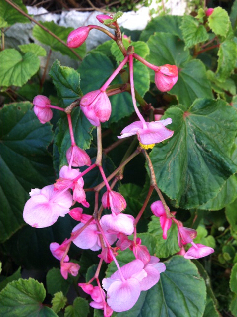 f:id:MaoLamdo:20130925042154j:plain f:id:MaoLamdo:20130925042154j:plain