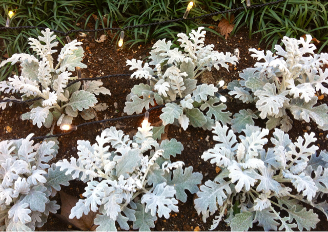 f:id:MaoLamdo:20131226151317j:plain f:id:MaoLamdo:20131226151317j:plain