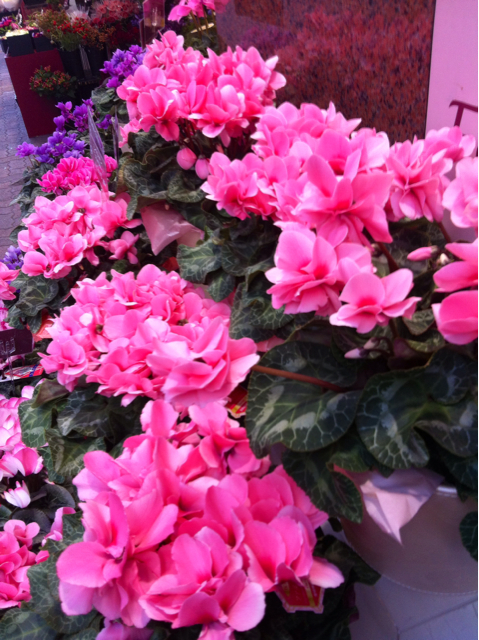 f:id:MaoLamdo:20131226154037j:plain f:id:MaoLamdo:20131226154037j:plain