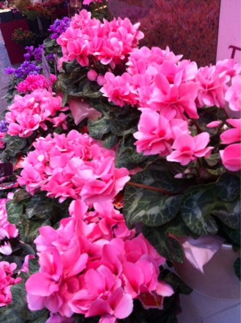 f:id:MaoLamdo:20140707051254j:plain f:id:MaoLamdo:20140707051254j:plain