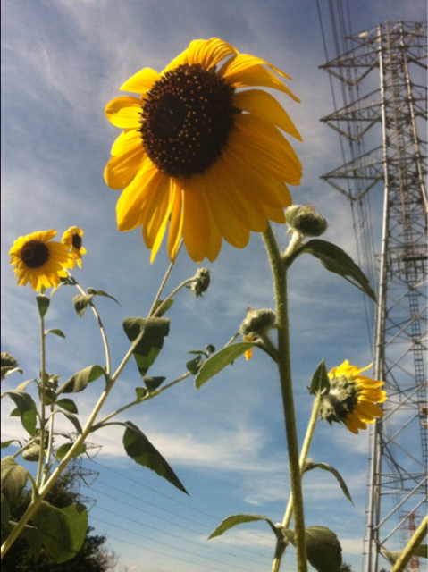 f:id:MaoLamdo:20140903153556j:plain f:id:MaoLamdo:20140903153556j:plain