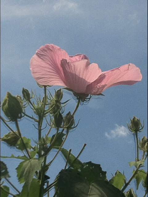 f:id:MaoLamdo:20140903153810j:plain f:id:MaoLamdo:20140903153810j:plain