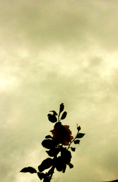 f:id:MaoLamdo:20140903153950j:plain f:id:MaoLamdo:20140903153950j:plain