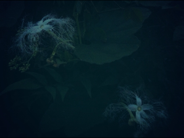 f:id:MaoLamdo:20140903154615j:plain f:id:MaoLamdo:20140903154615j:plain