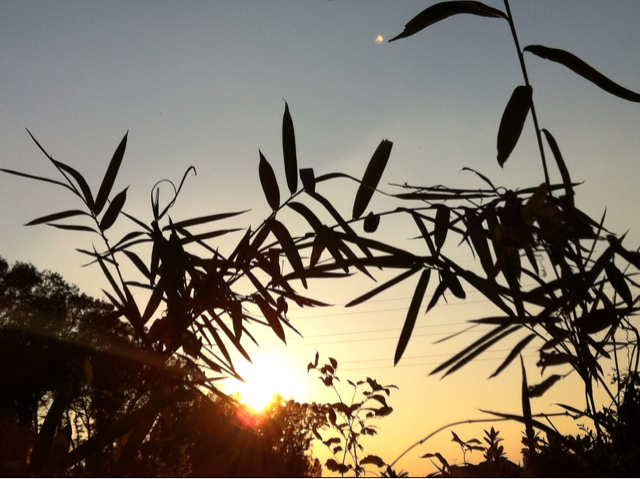 f:id:MaoLamdo:20140903154732j:plain f:id:MaoLamdo:20140903154732j:plain