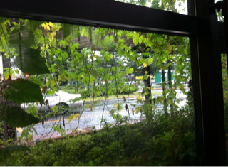 f:id:MaoLamdo:20141031012538j:plain f:id:MaoLamdo:20141031012538j:plain