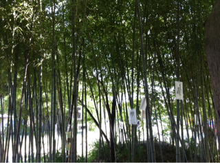 f:id:MaoLamdo:20141031021426j:plain f:id:MaoLamdo:20141031021426j:plain