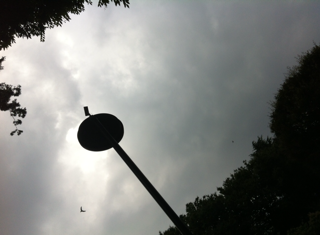 f:id:MaoLamdo:20141031022441j:plain f:id:MaoLamdo:20141031022441j:plain