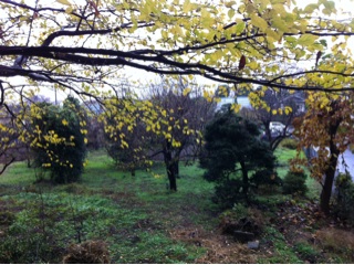 f:id:MaoLamdo:20141207235614j:plain f:id:MaoLamdo:20141207235614j:plain