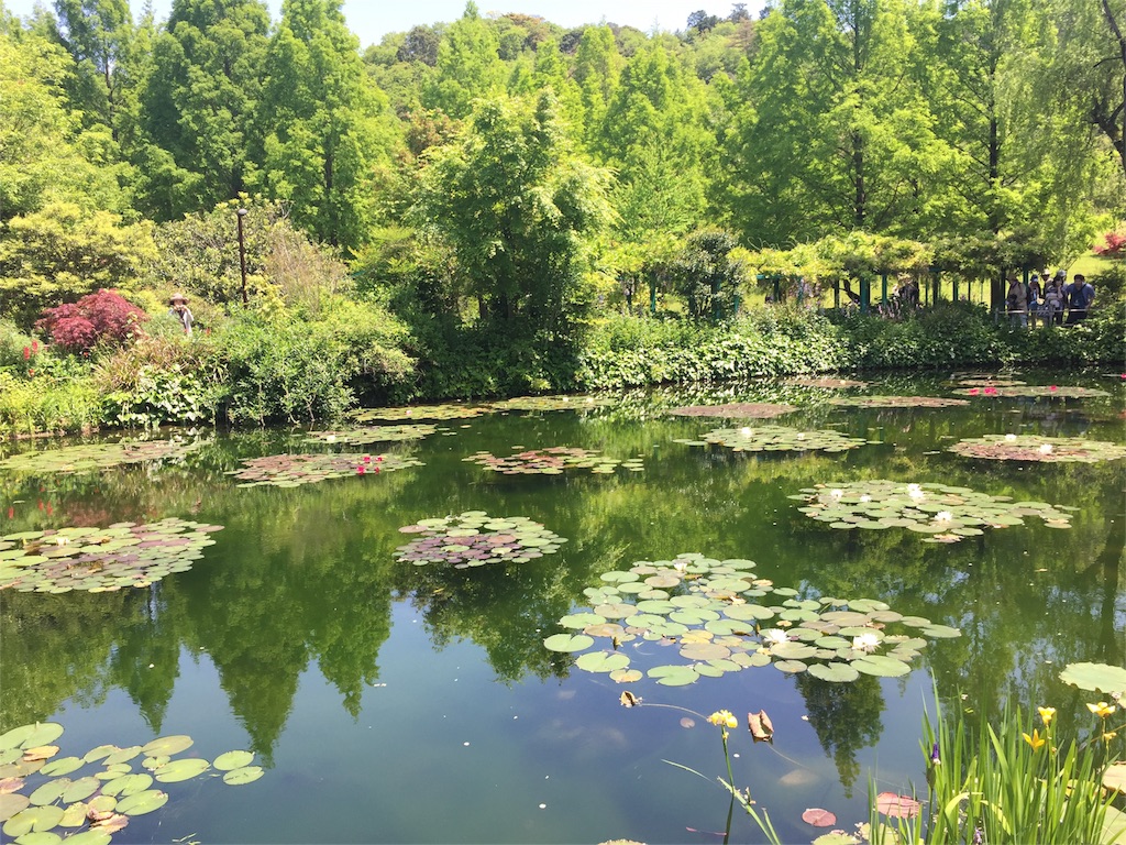 f:id:Masae_t:20160509200230j:image f:id:Masae_t:20160509200230j:image