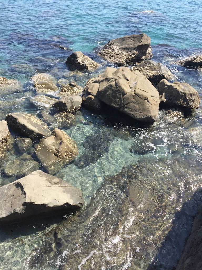f:id:Masae_t:20160509201122j:image f:id:Masae_t:20160509201122j:image
