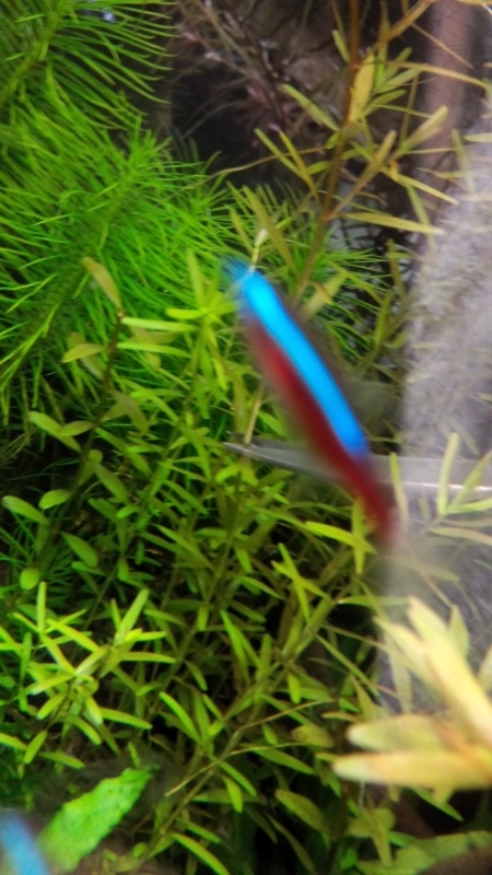f:id:Meoo:20140401191514j:plain f:id:Meoo:20140401191514j:plain