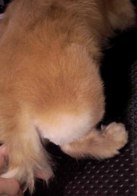 f:id:Meoo:20140419213606j:plain f:id:Meoo:20140419213606j:plain