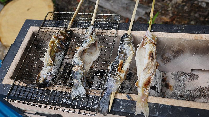 f:id:Meshi2_IB:20150726202524j:plain
