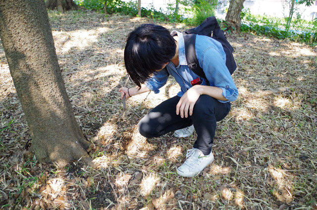 f:id:Meshi2_IB:20150805230121j:plain