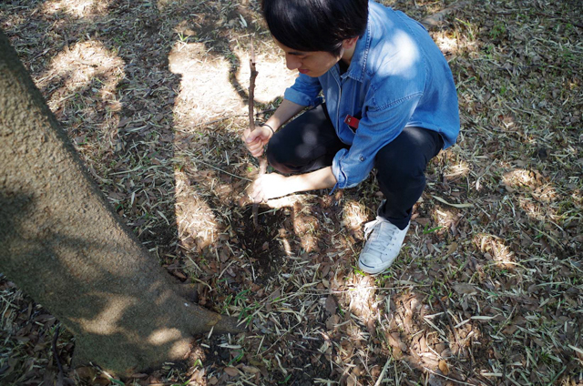 f:id:Meshi2_IB:20150805230122j:plain