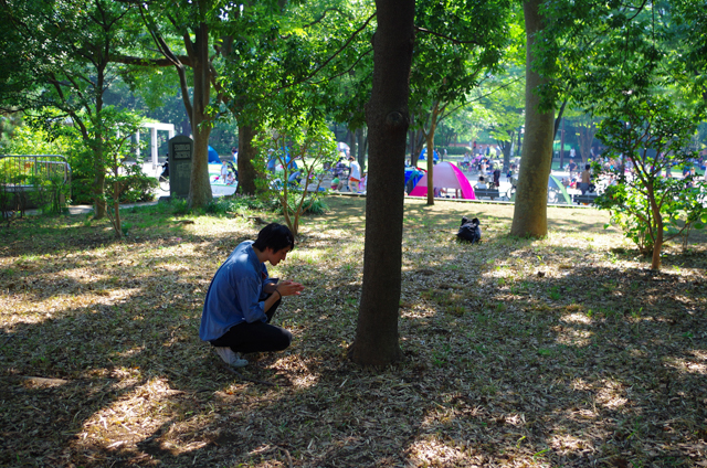 f:id:Meshi2_IB:20150805230125j:plain