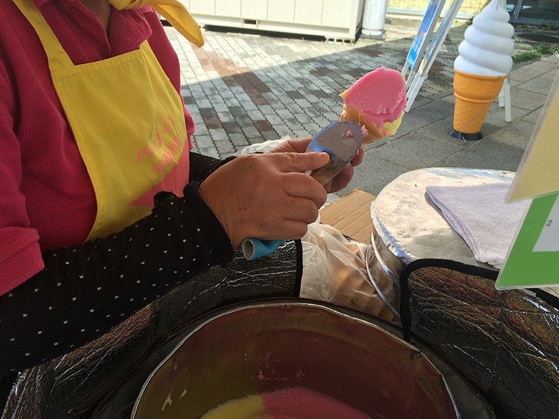 f:id:Meshi2_IB:20150826170626j:plain