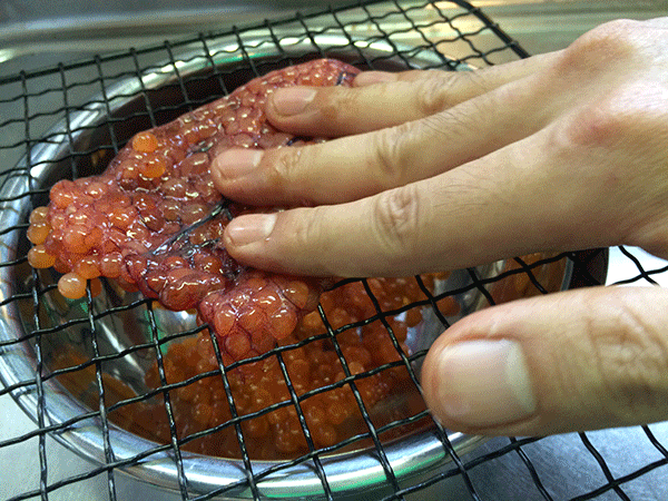 f:id:Meshi2_IB:20151009152643g:plain