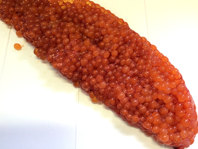 f:id:Meshi2_IB:20151009152649j:plain