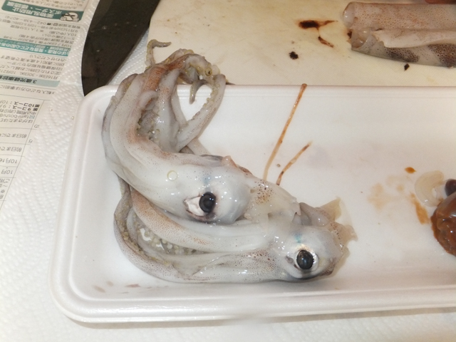 f:id:Meshi2_IB:20151025190643j:plain