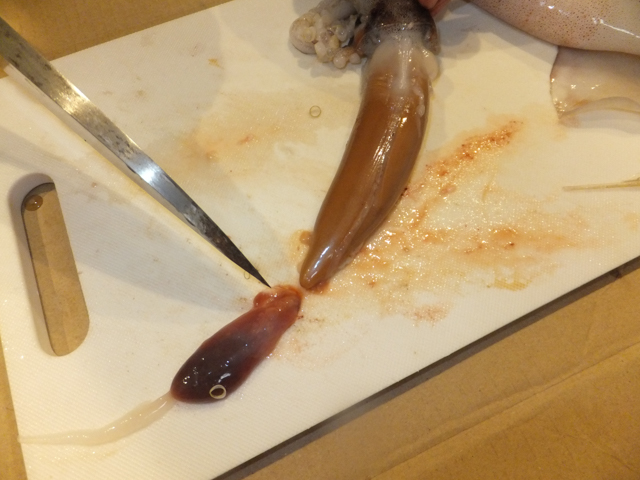 f:id:Meshi2_IB:20151025190647j:plain