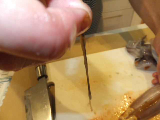 f:id:Meshi2_IB:20151025190648j:plain