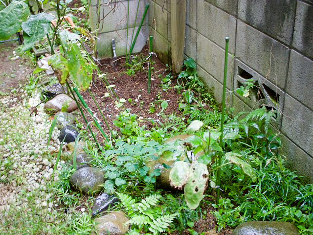 f:id:Meshi2_IB:20151130103214j:plain