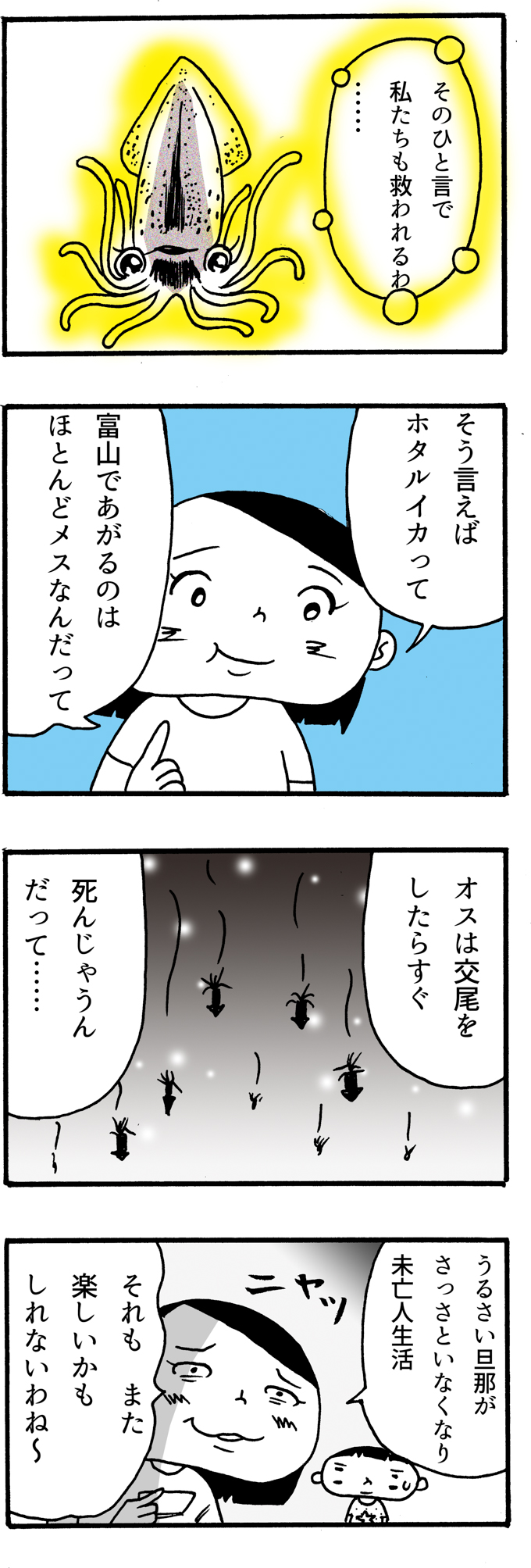 f:id:Meshi2_IB:20160425101245j:plain