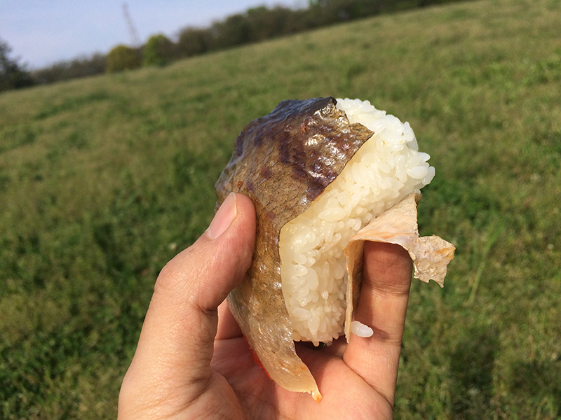 f:id:Meshi2_IB:20160426133635j:plain