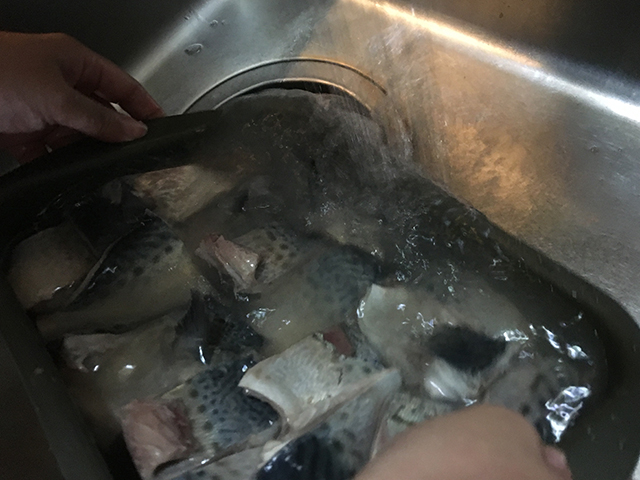 f:id:Meshi2_IB:20160526220901j:plain