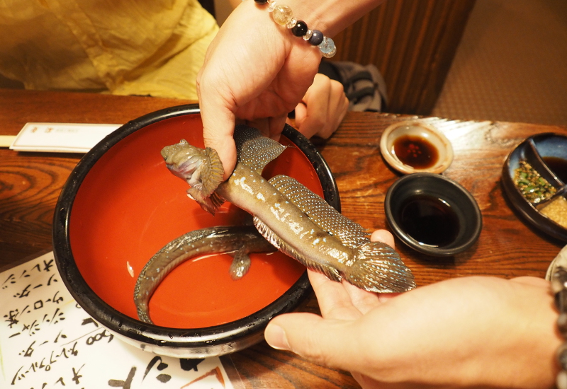 f:id:Meshi2_Writer:20150901193619j:plain