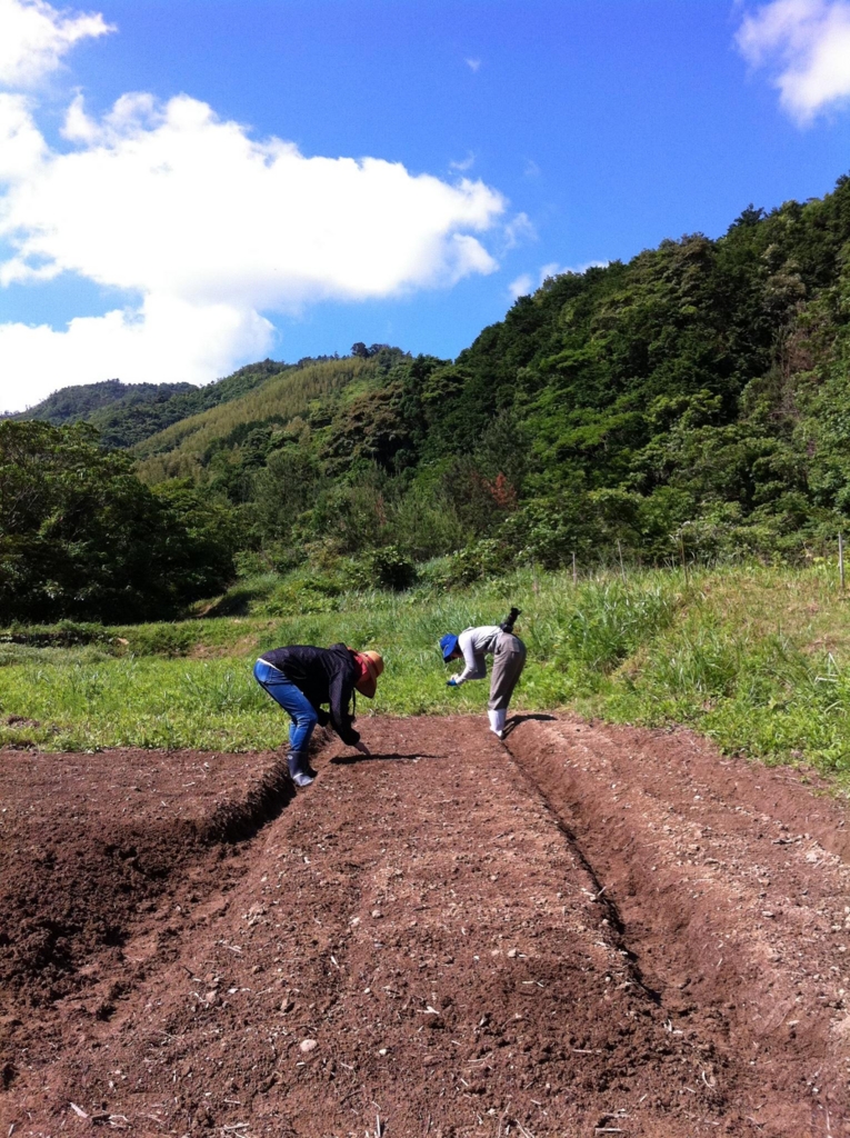 f:id:Meshi2_Writer:20151025165145j:plain