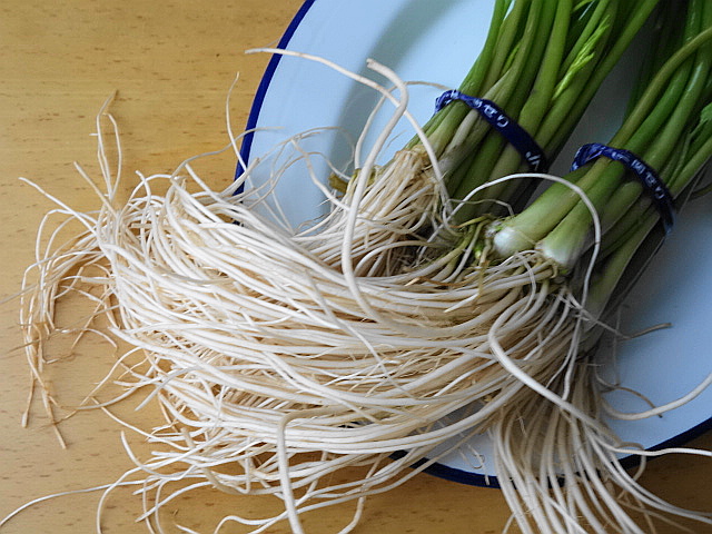 f:id:Meshi2_Writer:20151110112600j:plain