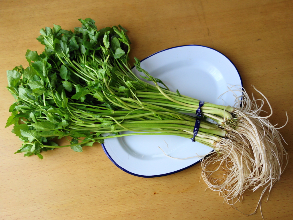 f:id:Meshi2_Writer:20151110112619j:plain