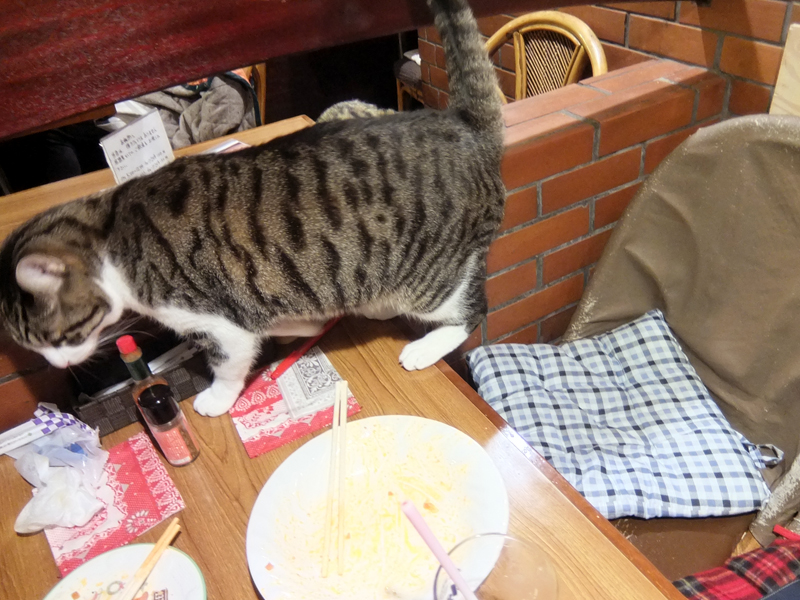 f:id:Meshi2_Writer:20151201151627j:plain