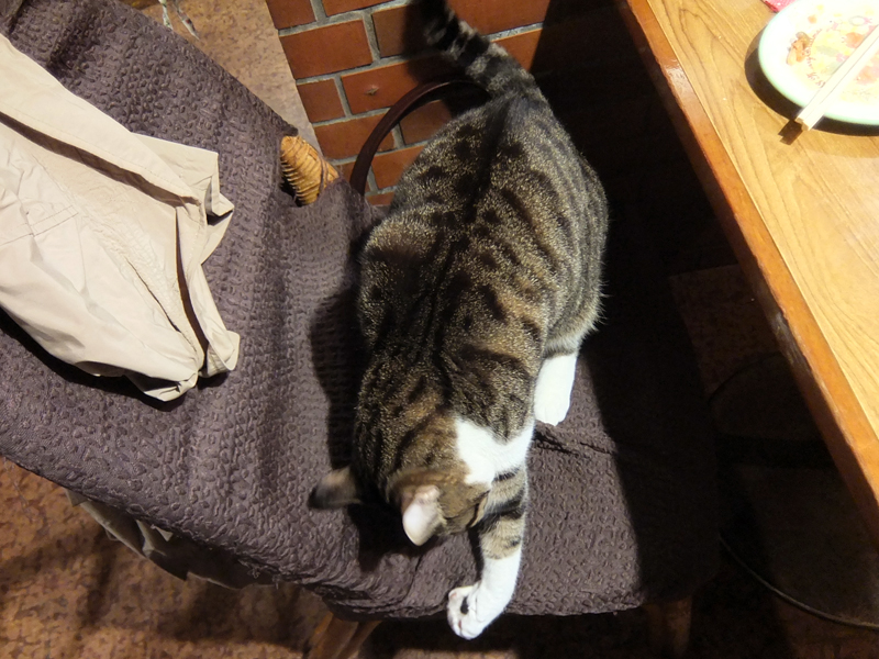 f:id:Meshi2_Writer:20151201151638j:plain