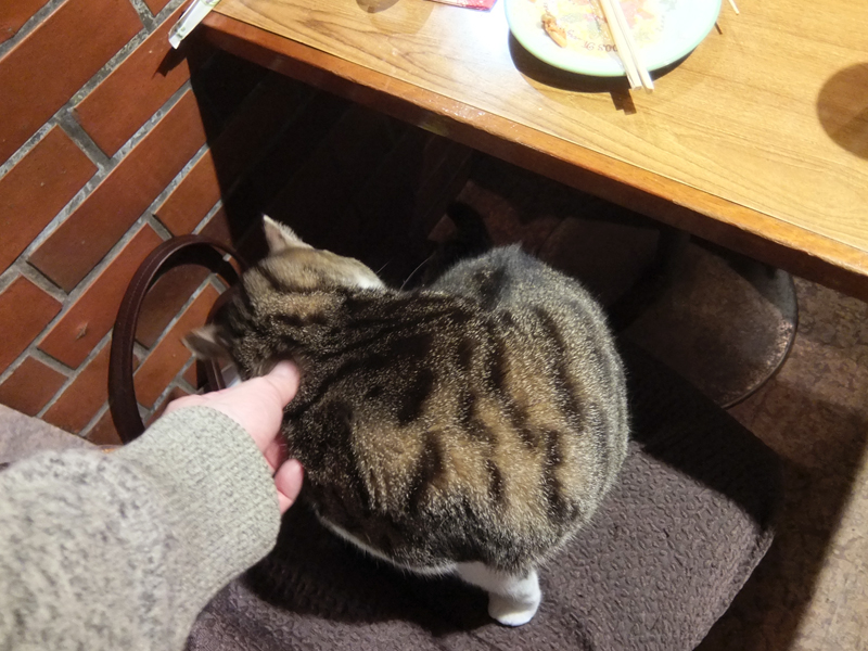f:id:Meshi2_Writer:20151201151655j:plain