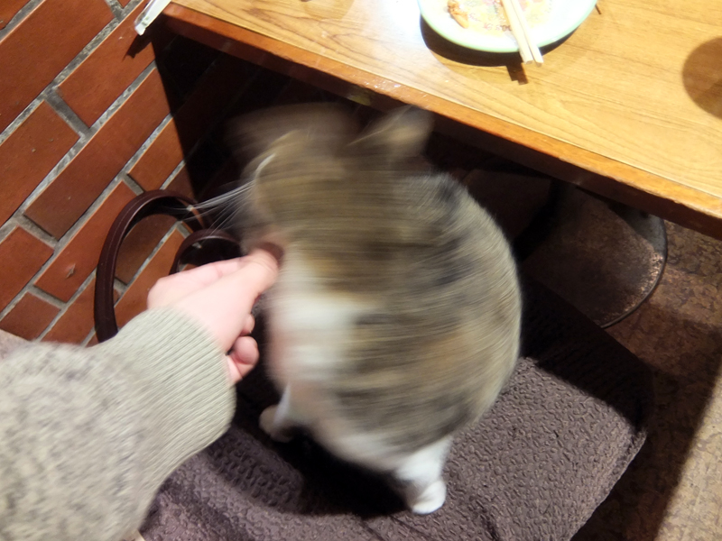 f:id:Meshi2_Writer:20151201151725j:plain