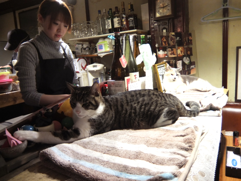 f:id:Meshi2_Writer:20151201151757j:plain