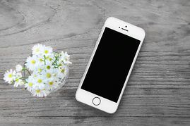 スマホ