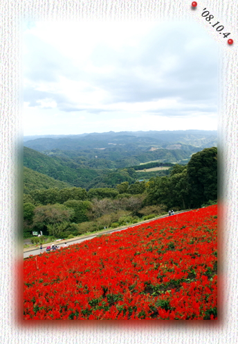 f:id:Mifeena:20081006233412j:image f:id:Mifeena:20081006233412j:image
