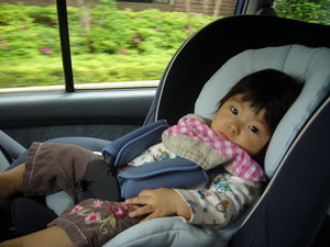 f:id:Miori:20060514201742j:image:w250 f:id:Miori:20060514201742j:image:w250
