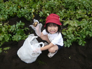 f:id:Miori:20100703065157j:image f:id:Miori:20100703065157j:image