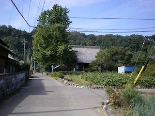 f:id:Mitsuhiko:20101016104254j:image f:id:Mitsuhiko:20101016104254j:image